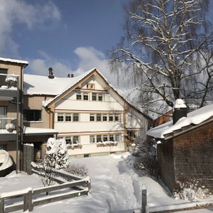 Winter