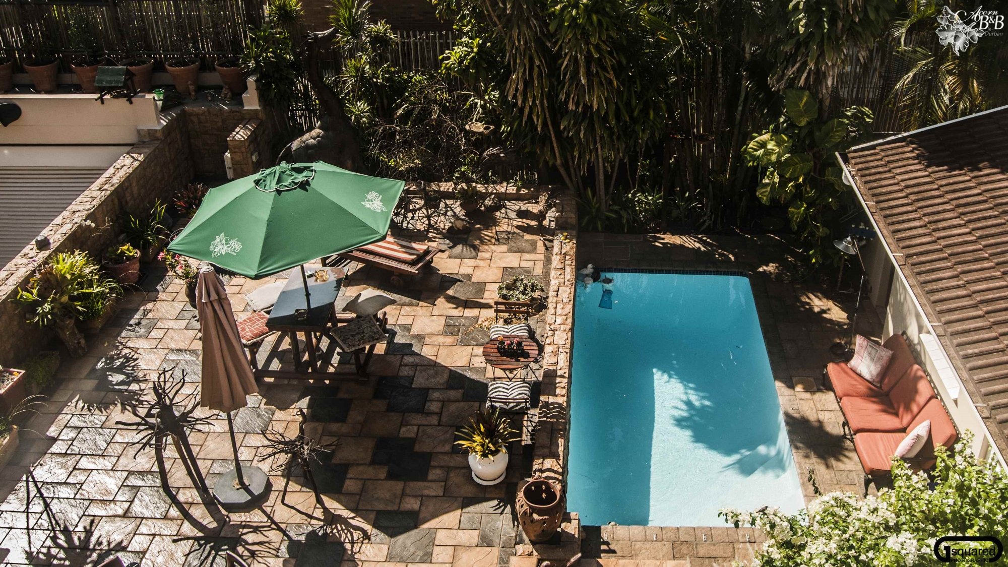 Acorn B&b In Durban Pool: Pictures & Reviews - Tripadvisor