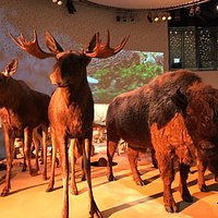 Naturama