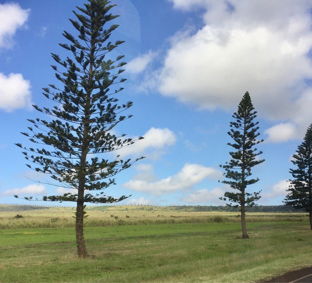 Lost on Lanai