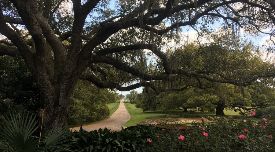 Great day trip! The kids love walking through the gardens. Eat outside under the trees and enjoy