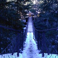 Parco Paneveggio Ponte Sospeso