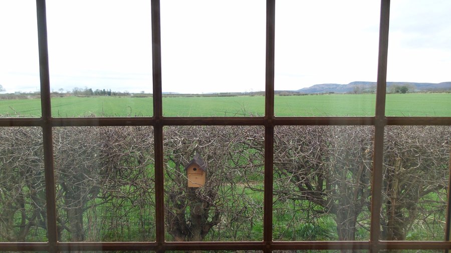 View across farmland to Cleveland Hills