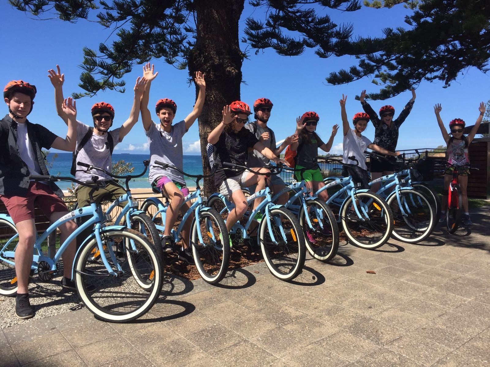 Illawarra cheap cycle centre