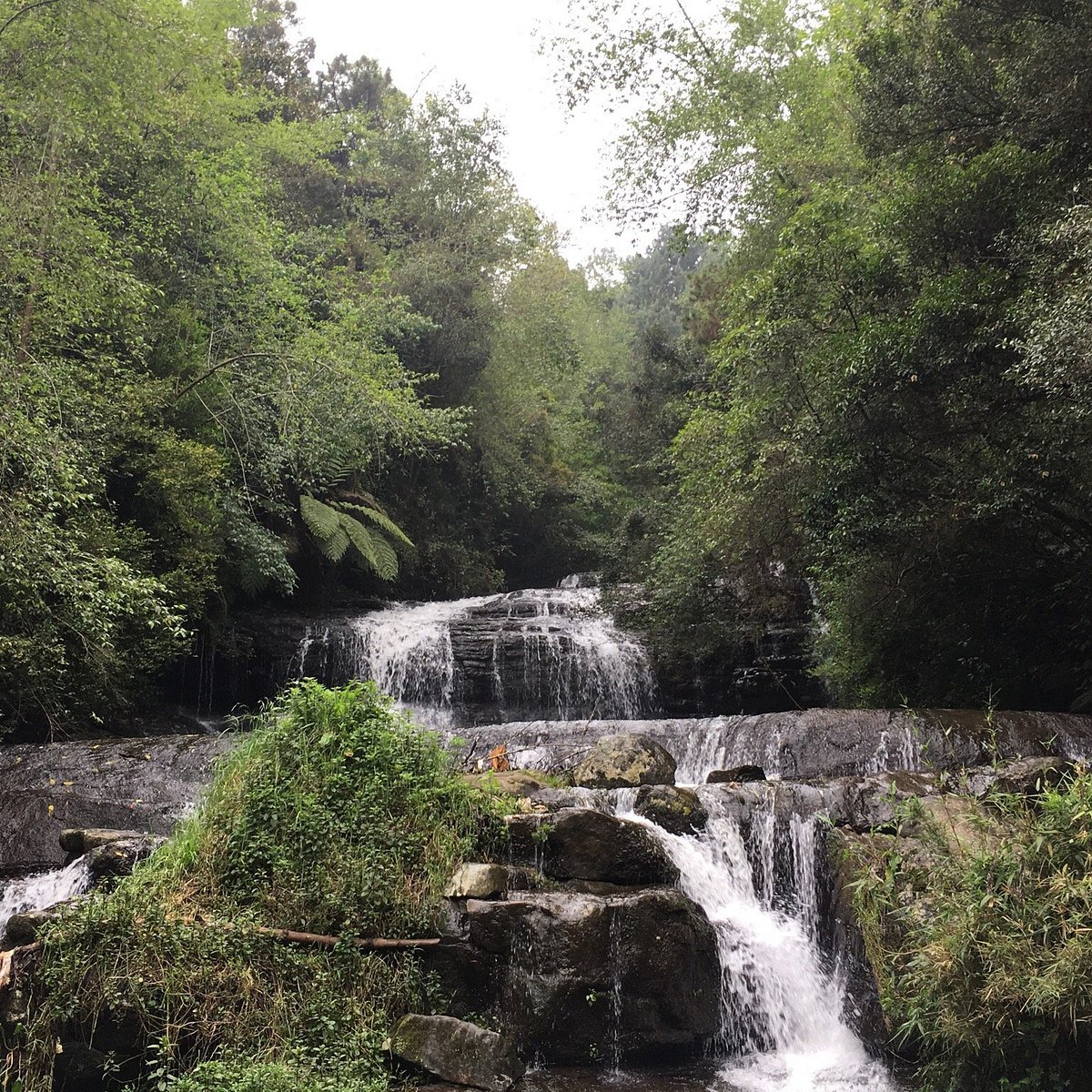 Vattakanal Waterfalls Kodaikanal 2022 Lo Que Se Debe Saber Antes De Viajar Tripadvisor