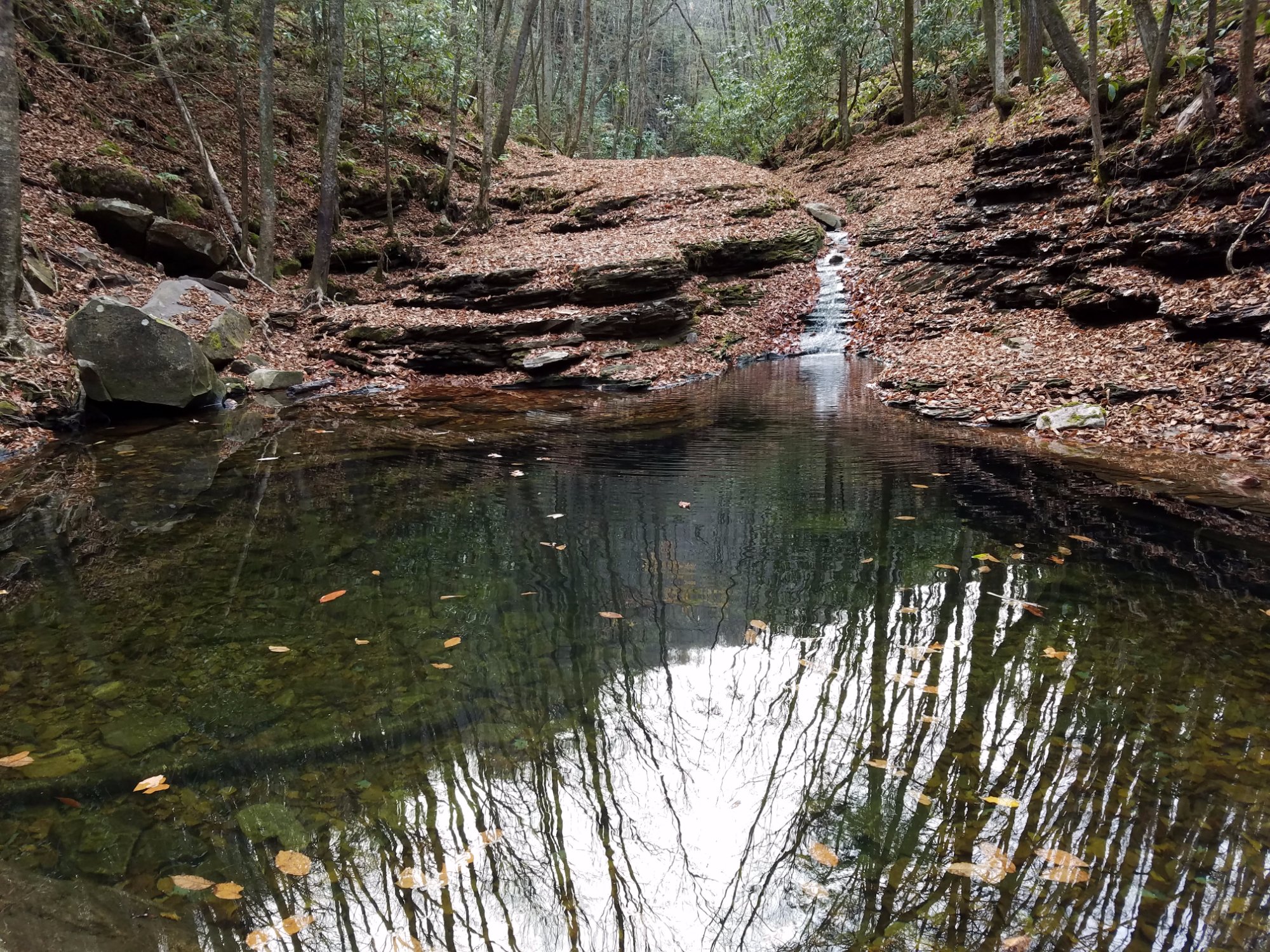 devil's bathtub hike virginia