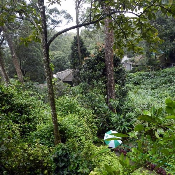 THE 10 BEST Kerala Hotel Deals (Jan 2024) - Tripadvisor