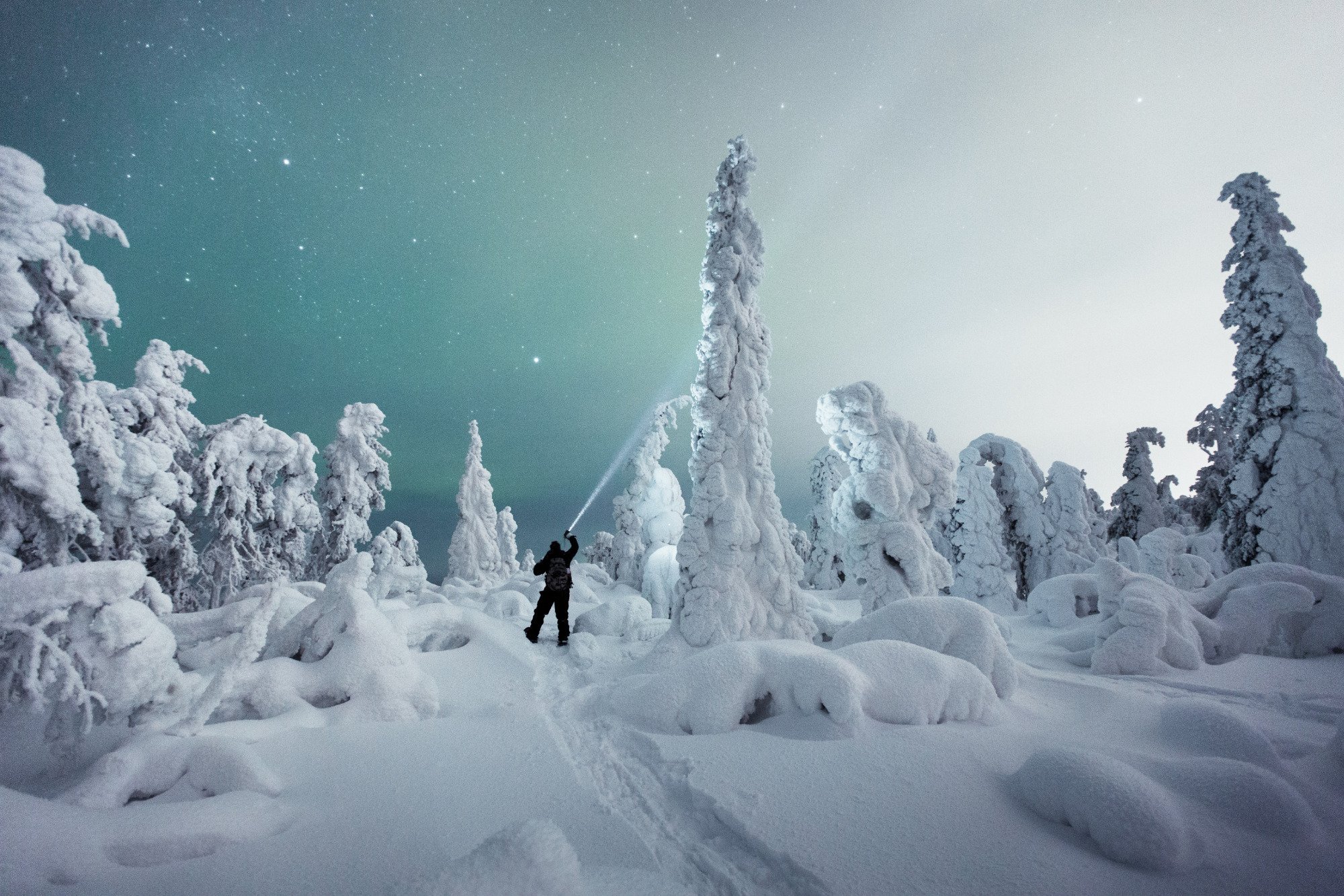    Heavy Snow And Starry 