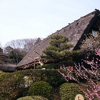 植物園内の合掌造りの家