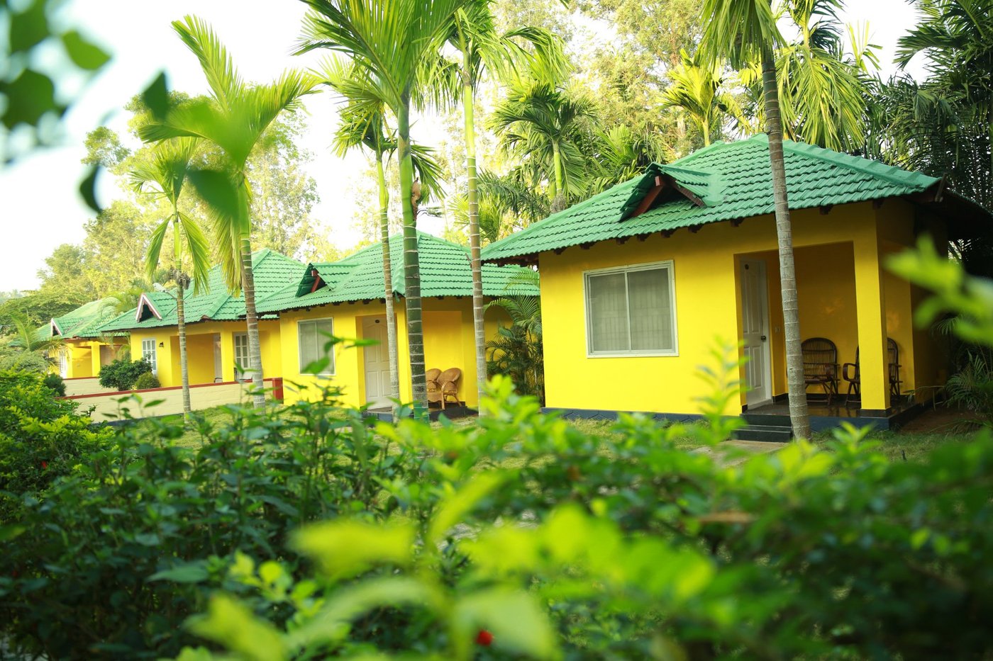 Palm Era Resorts (coorg Kushalnagar) - Hotel Reviews, Photos, Rate 