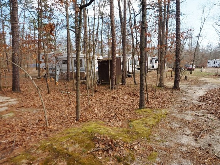 Escape to Nature: Your Guide to New Jersey Pine Cone Campground