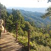 Things To Do in Portola Redwoods State Park, Restaurants in Portola Redwoods State Park