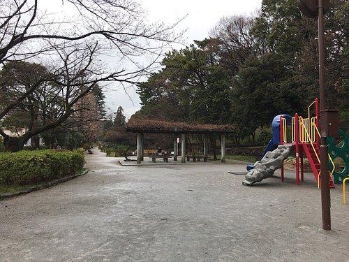 大田区の公園 自然 ベスト10 トリップアドバイザー