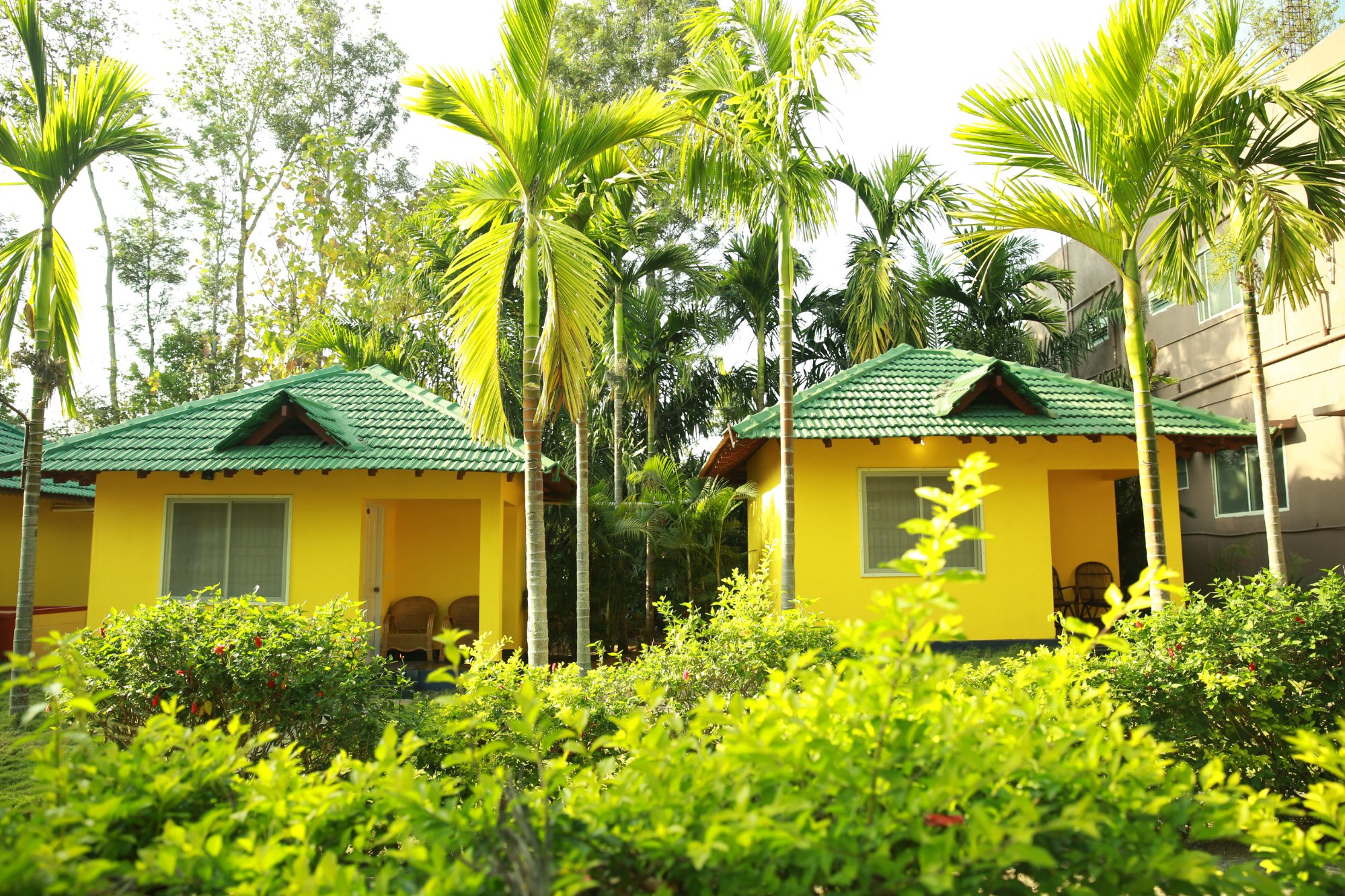 PALM ERA RESORTS - Updated 2024 Prices & Hotel Reviews (Kushalnagar, India)