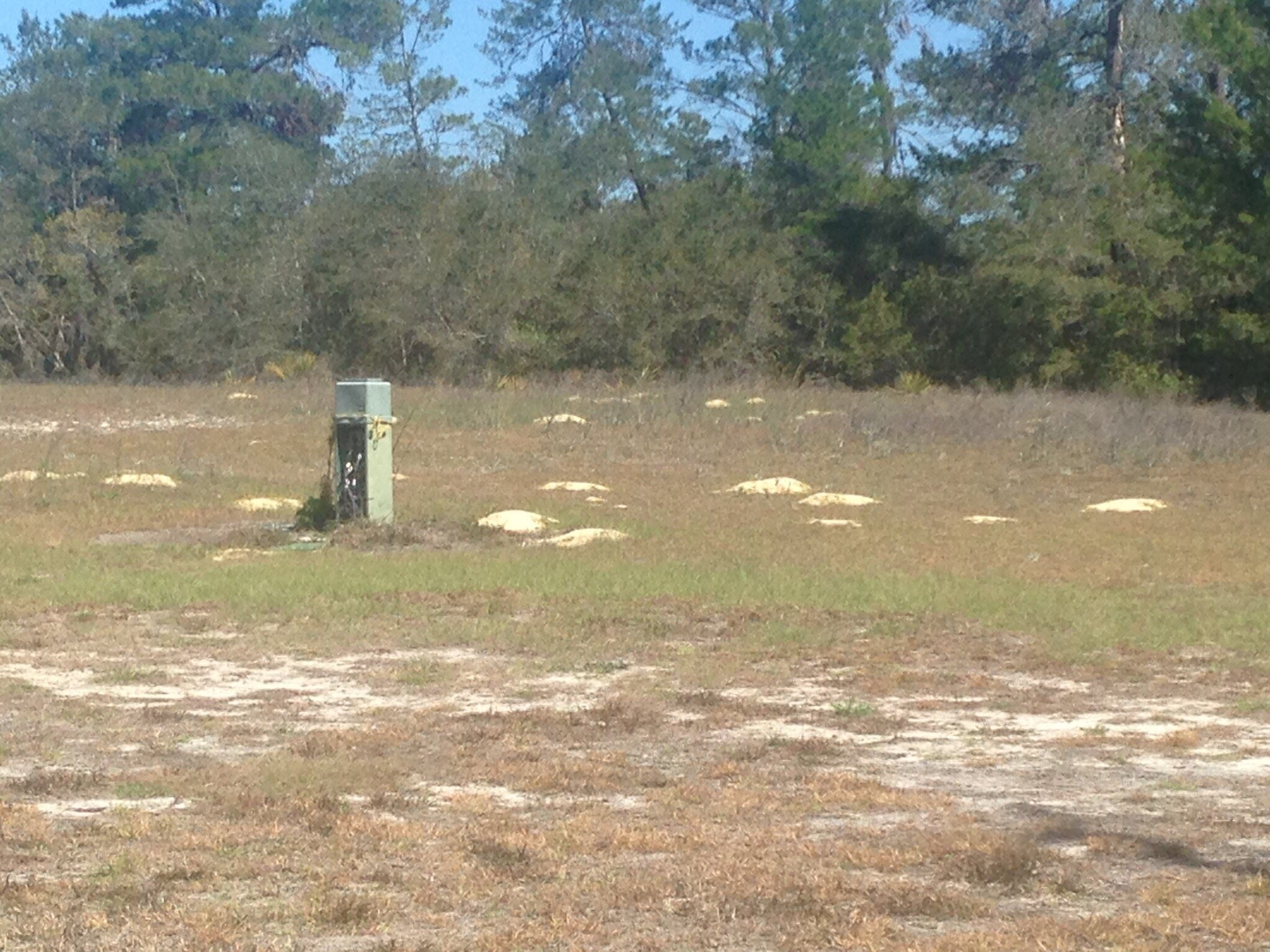 Marion Oaks Country Club (Ocala)