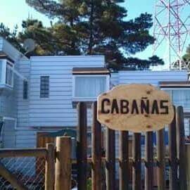 El bosque del canelo
