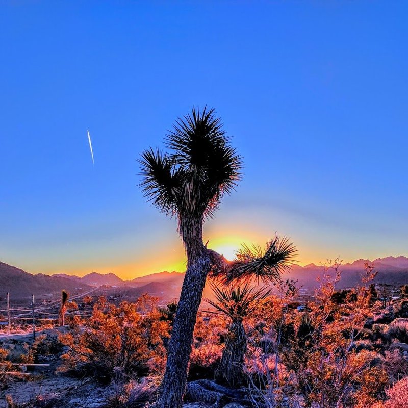 The Desert Lily Vacation Home by null