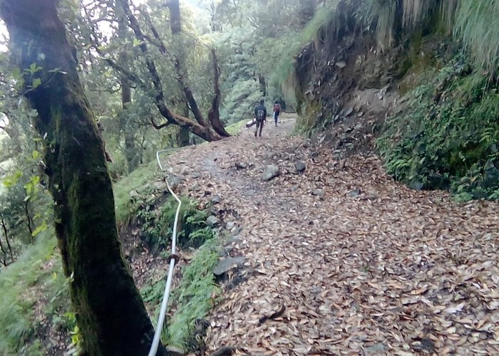 Awesome view on Trekking.