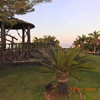 Inside the garden