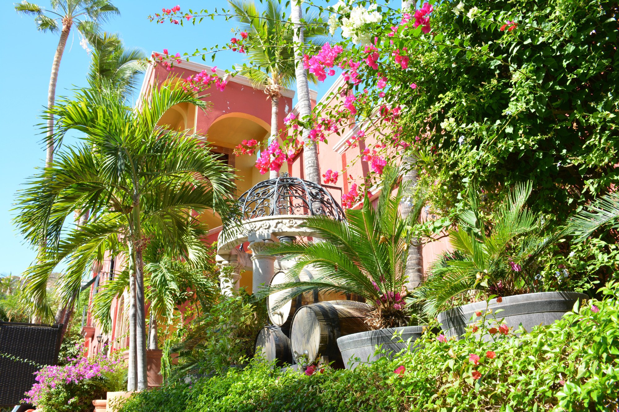 Collection O Casa Bella Hotel Boutique Cabo San Lucas UPDATED