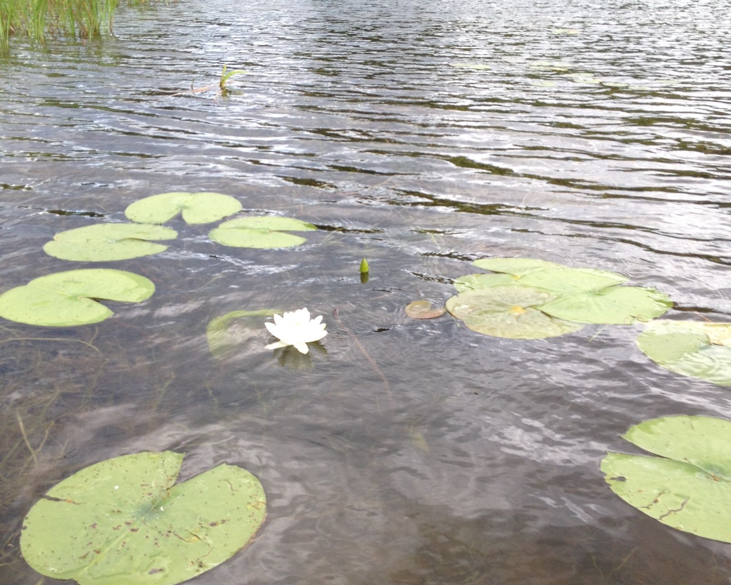 Oscoda Canoe Rental - All You Need to Know BEFORE You Go (2024)