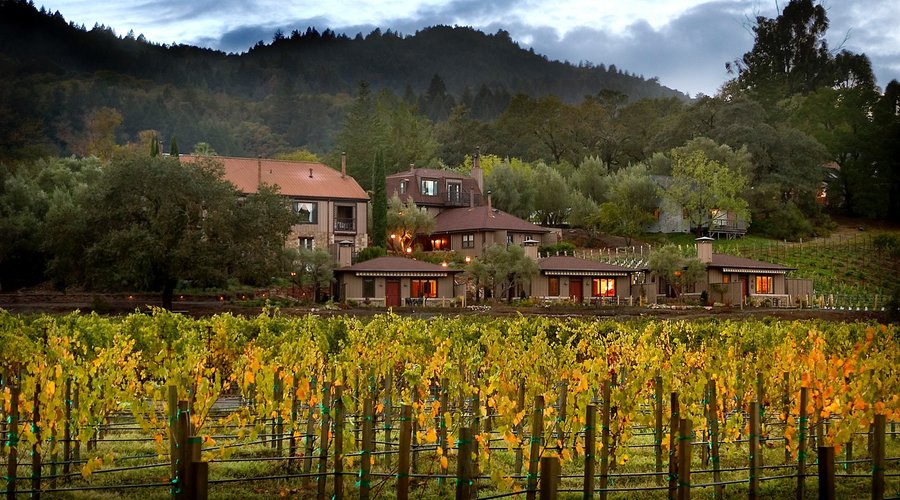 Property Vineyard View