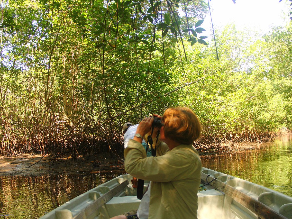 EPIC TOURS EL SALVADOR (2025) All You MUST Know Before You Go (w/ Reviews)