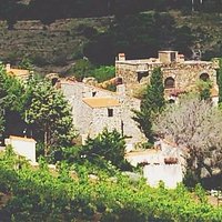 Clos Castell un savoir- faire pour un vin différent....