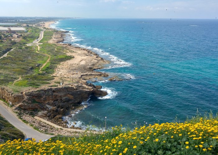 תצפית לחוף הים