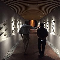Cellar