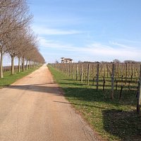Azienda Agricola Castelvecchio