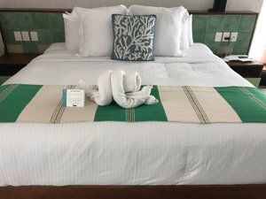 Habitación y suite