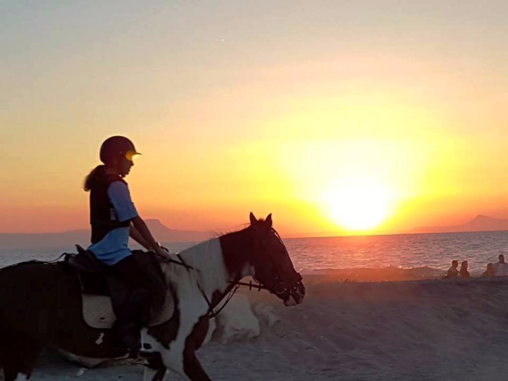 Horse Park Rethymno, Платаниас: лучшие советы перед посещением - Tripadvisor