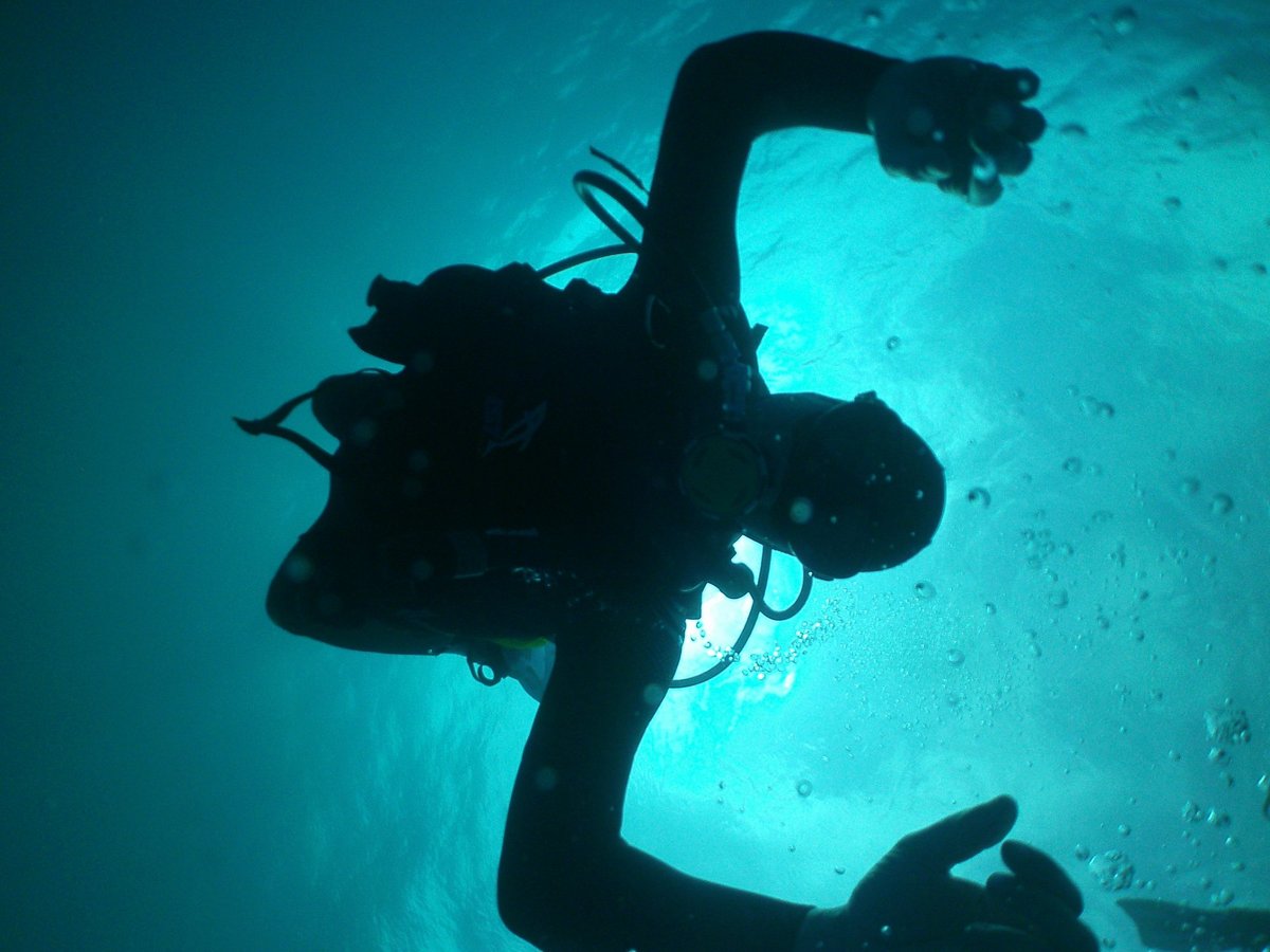 me dive center playa del carmen