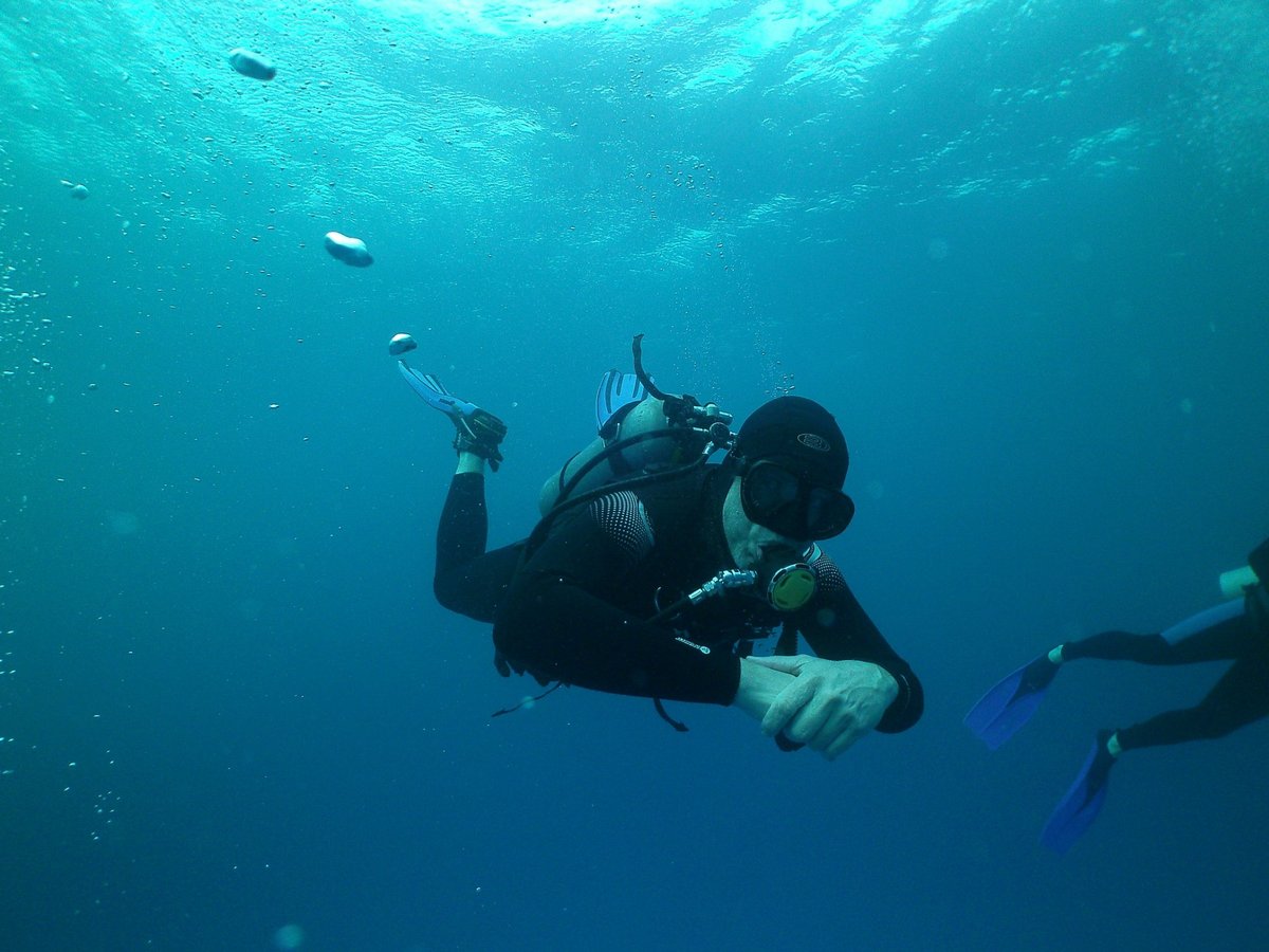 me dive center playa del carmen