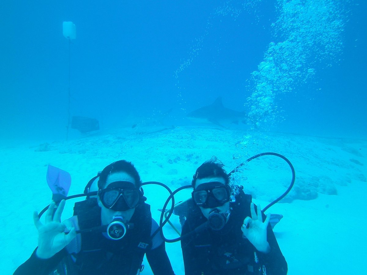 me dive center playa del carmen