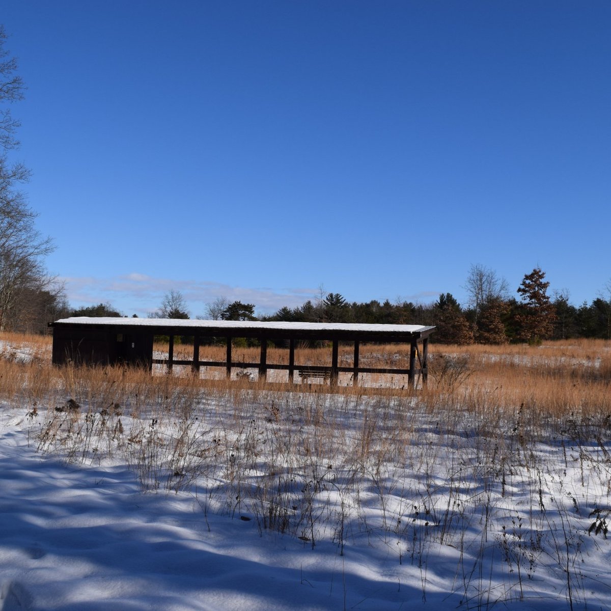 WILTON WILDLIFE PRESERVE AND PARK (2025) All You Need to Know BEFORE ...