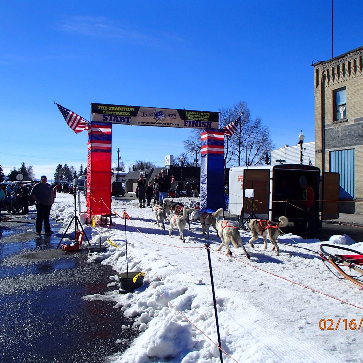 AMERICAN DOG DERBY (Ashton) Tutto quello che c'è da sapere