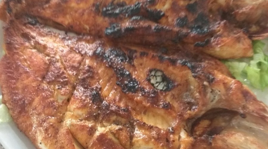 Red snapper grilled