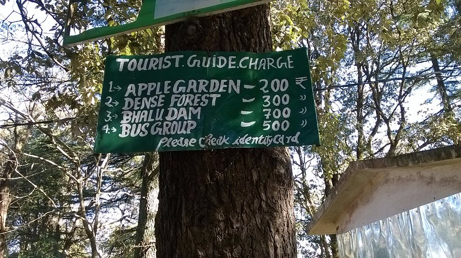 Chaubatia Gardens Ranikhet: A Serene Himalayan Paradise Awaits Chaubatia Gardens Ranikhet: A Serene Himalayan Paradise Awaits