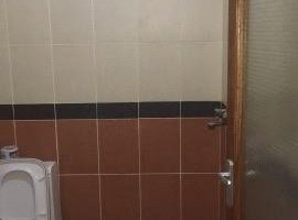 Bathroom Toilet/Shower Combo No curtain