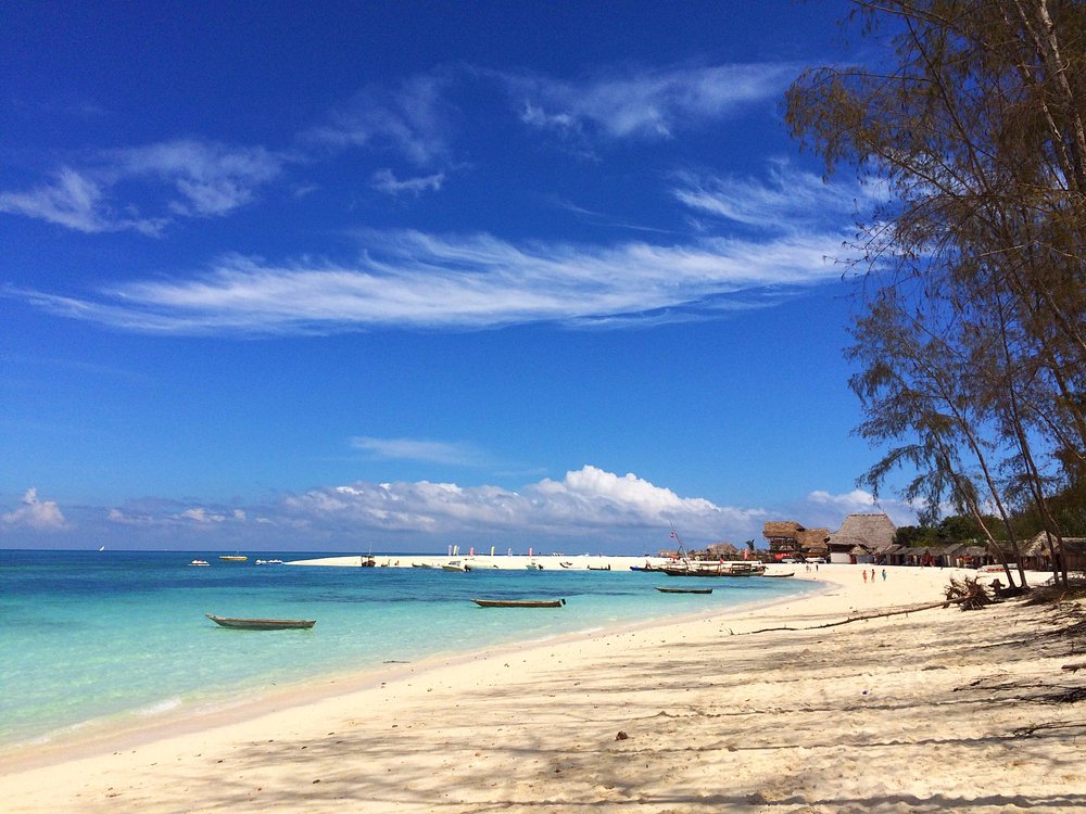 LES 10 MEILLEURES choses à faire à Zanzibar 2024 (avec photos)