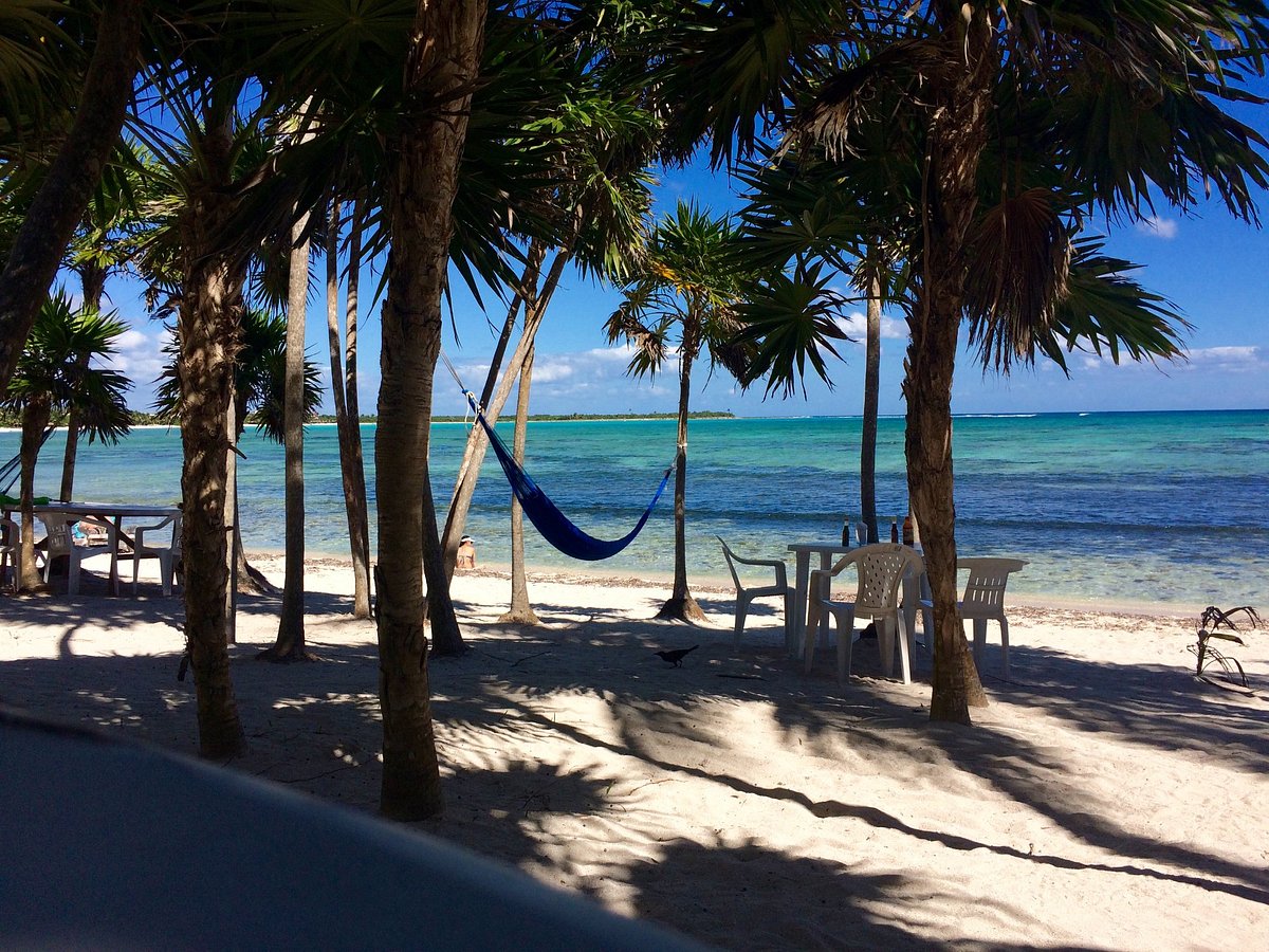 Playa Private Tours (Playa del Carmen) - All You Need to Know BEFORE You Go