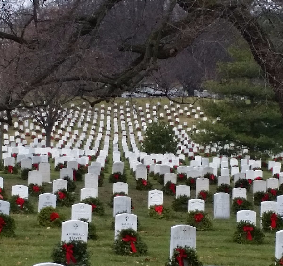 Могила джона кеннеди. Кладбище Кеннеди. JFK Grave. Семейное захоронение Кеннеди в виде буквы q.