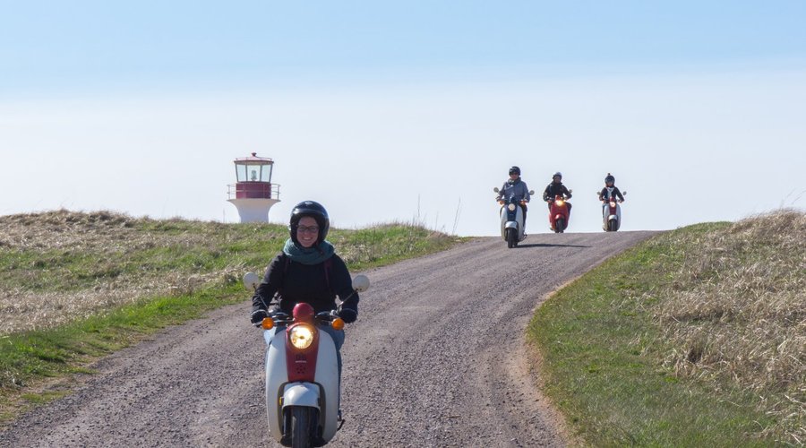 Pour un #tripauxiles avec ta «gang» à partir de 39.95$/jour pour un scooter simple 49cc!