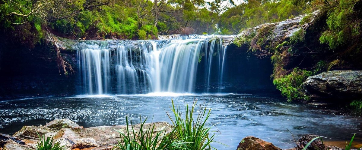 Nellies Glen at Budderoo National park.