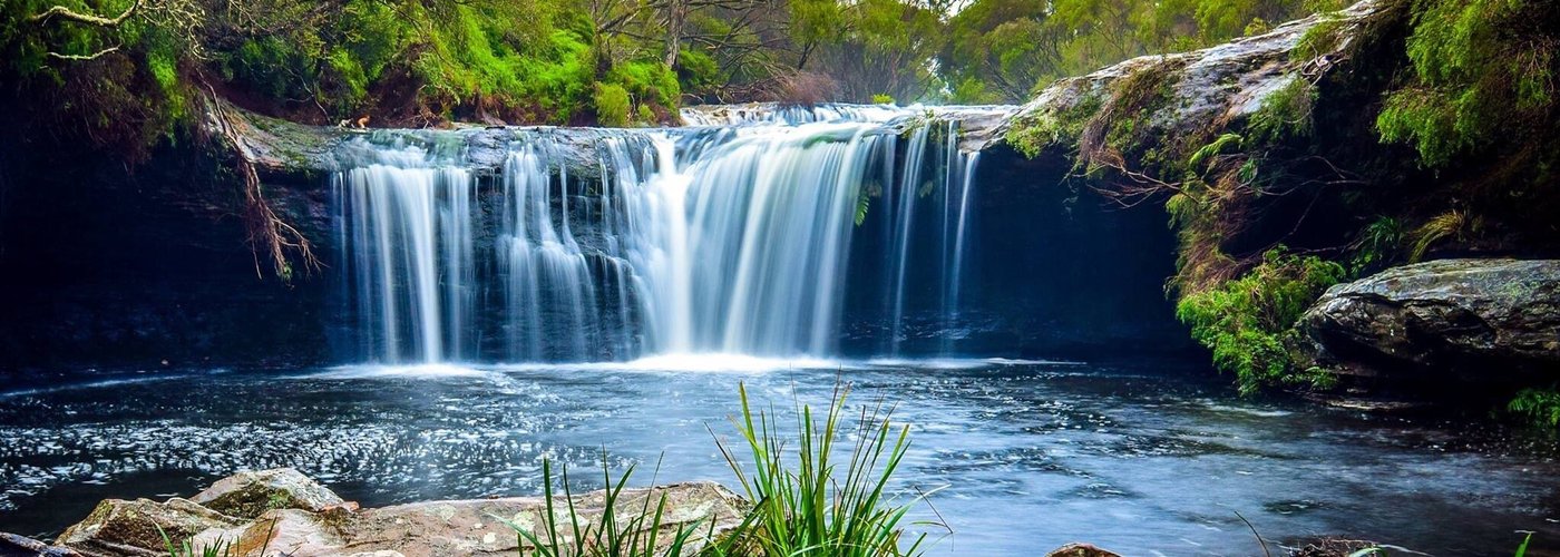 Nellies Glen at Budderoo National park.