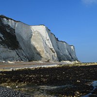 beach and white cliffs
