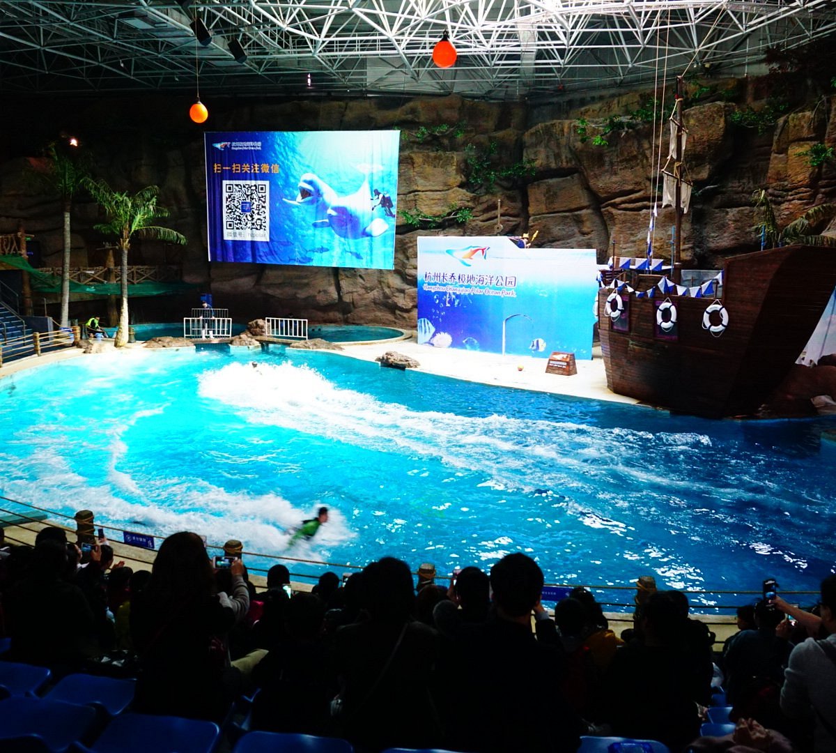 Hangzhou Polar Ocean World, Ханчжоу: лучшие советы перед посещением -  Tripadvisor