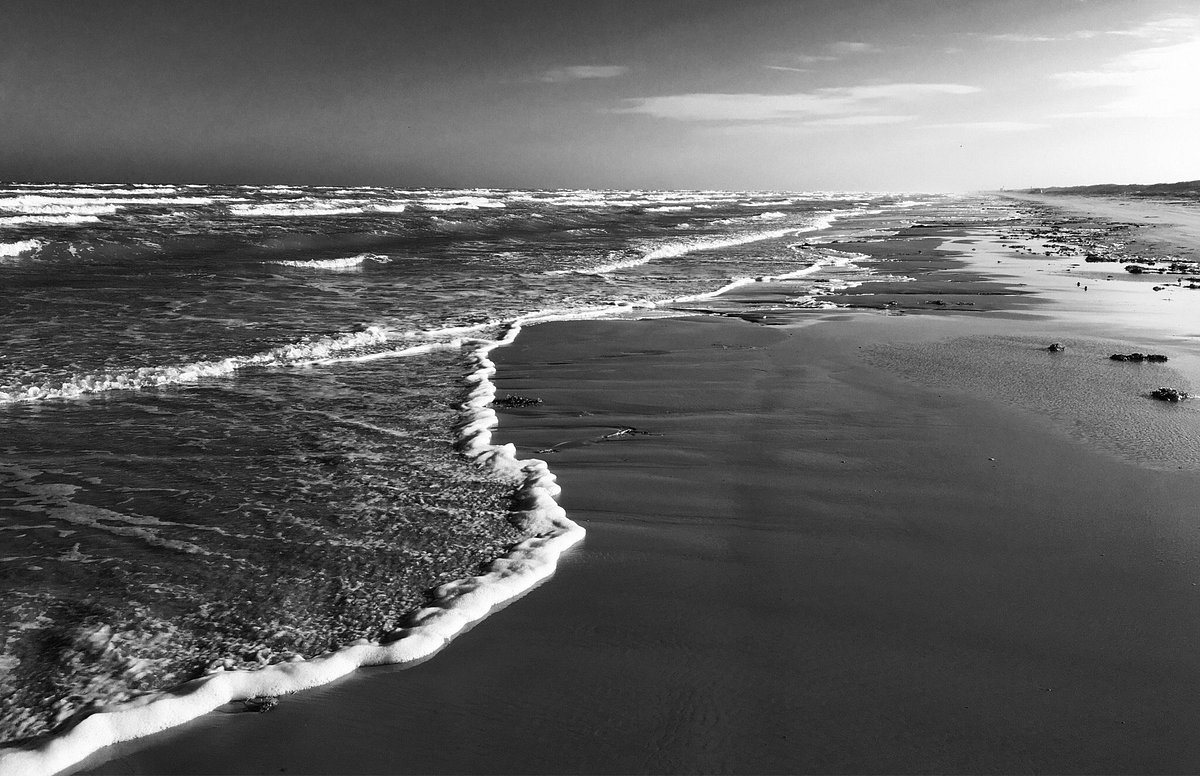 Padre Island National Seashore (Corpus Christi) - All You Need to Know ...